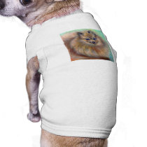 Pomeranian Pastel Pet T-shirt pet clothing