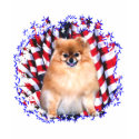 Pomeranian Patriot t-shirts by GreyWolfCreation Pomeranian Patriot t-shirts