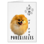 Pomeranian Paws Up Card Pomeranian Paws Up Card