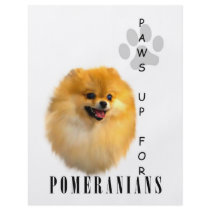 Pomeranian Paws Up Flyers by jaisjewels Pomeranian Paws Up Flyers