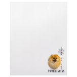 Pomeranian Paws Up Letterhead