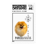 Pomeranian Paws Up Stamps