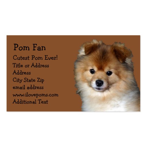 Pomeranian Photo Business Card