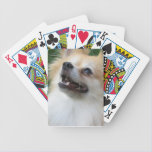 Pomeranian Playing Cards playing cards