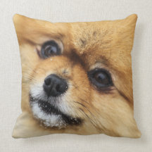 Pomeranian Portrait Throw Pillows