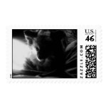 Pomeranian Postage