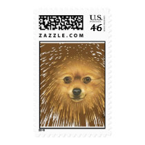 Pomeranian Postage Stamp