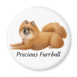Pomeranian Precious Furrball Magnet Pomeranian Precious Furrball Magnet