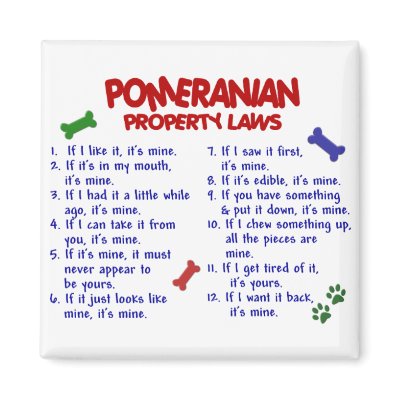 POMERANIAN Property Laws 2 fridge magnets