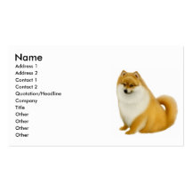 Pomeranian Puppy Business Card