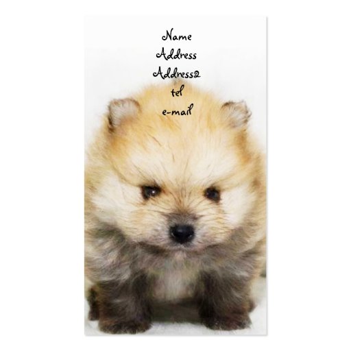 Pomeranian puppy business card (front side)