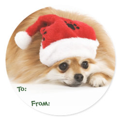 Pomeranian Puppy Gift Tags sticker