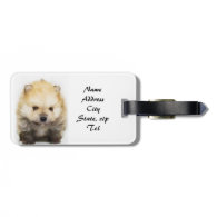 Pomeranian puppy luggage tags