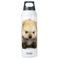 Pomeranian puppy SIGG thermo 0.5L insulated bottle