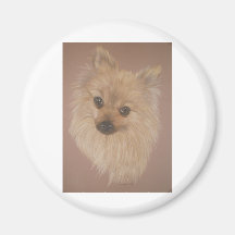 Pomeranian Refrigerator Magnets