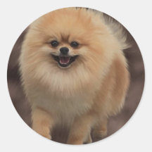 Pomeranian Round Sticker