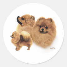 Pomeranian Round Sticker