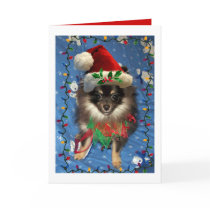 POMERANIAN SANTA cards