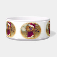 Pomeranian Santa Christmas dog bowl petbowl