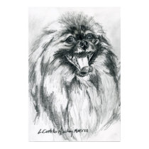 Pomeranian Sketch 1 posters