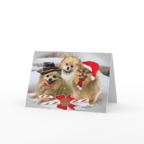 Pomeranian Snow Scene Christmas Card