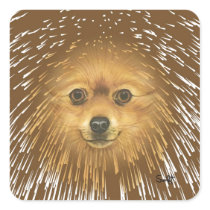 Pomeranian Stickers