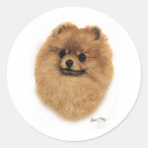 Pomeranian Stickers