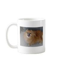 Pomeranian - Sushi mugs