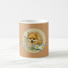Pomeranian Tazas