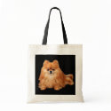Pomeranian Tote Bag