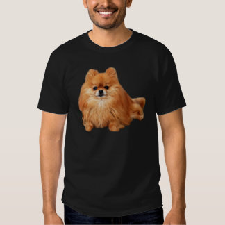 t shirt pomeranian