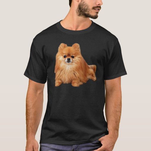 pomeranian t shirt