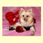 Pomeranian Valentine postcards