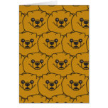 Pomeranians Pomeranians