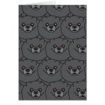 Pomeranians Pomeranians