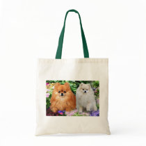Pomeranians Tote Bag