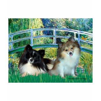 Pomeranians (two) - Bridge shirt
