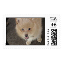 pomie postage by lala17143 pomie postage
