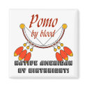 Pomo magnets by TheYankeeDingo Pomo magnets