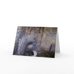 Pompeii - ancient wine-mixing vessels cards