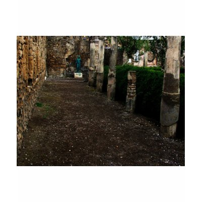 Pompeii - Courtyard of a wealthy home T Shirt by gothicarts