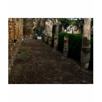 Pompeii - Courtyard of a wealthy home t-shirts by gothicarts Pompeii - Courtyard of a wealthy home t-shirts