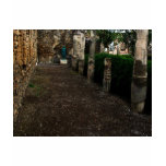 Pompeii - Courtyard of a wealthy home T Shirt