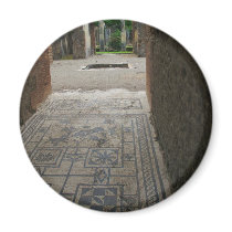 Pompeii Mosaic Floor magnets by gothicarts Pompeii Mosaic Floor magnets
