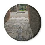 Pompeii Mosaic Floor Magnets