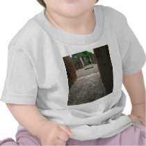 Pompeii Mosaic Floor t-shirts