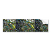 Pond Apple Bumper Stickers