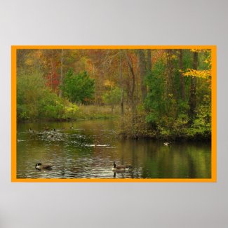 Pond at Sapsucker Woods print