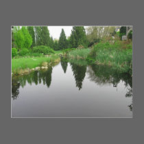 Pond at Vancouver, BC Postcard by gramabarb Pond at Vancouver, BC Postcard