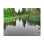 Pond at Vancouver, BC Postcard Pond at Vancouver, BC Postcard